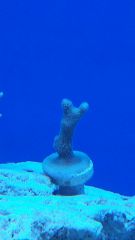 20150128 182727 resized