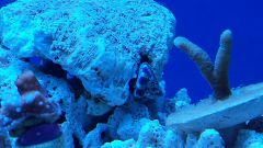 20150204 191335 resized