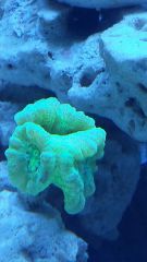 20150128 182811 resized