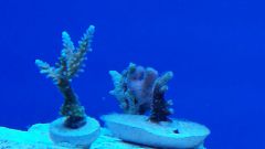 20150204 191249 resized