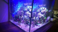 11004012 651081648329881 1816976268 N