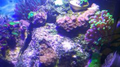 11004495 651081481663231 107056214 N