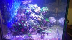 11016466 651081701663209 1228333733 N