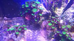 11006129 651081828329863 1075483998 N