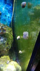 10966480 645000722271307 2045161381 N