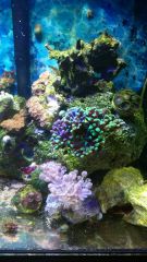 10965917 645000725604640 1655842282 N