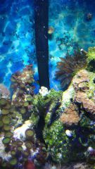 10965702 645000718937974 1610035343 N