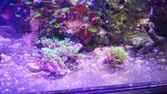 11004196 651081564996556 1027535019 N