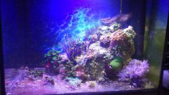 10944657 651081724996540 1338080033 N