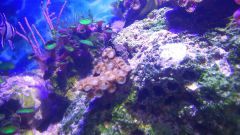 11004824 651081774996535 248980937 N