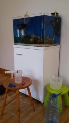 20150429 173710 (450x800)