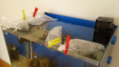 20150429 165520 (800x450)