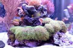 DSC 0018 (1800x1192)