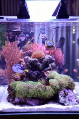 DSC 0019 (1190x1800)