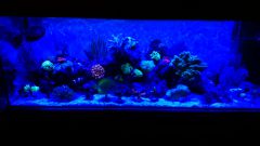 Aqua MiXi - kanał RB, B i UV