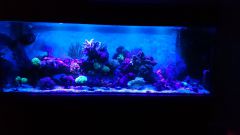 Aqua MiXi - kanał B i UV