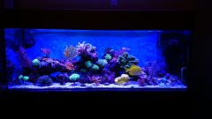 Aqua MiXi - full light - wszystkie 4 kanały