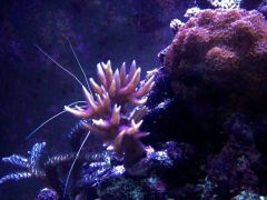 image 55fd87591174140b6d37634a11b8f3958bc78c3a7ac9e32cb9e1609f47a3cb8a V