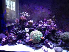 image 5150ec44038d1edb75426522a7706aadac5654ab0c87948f948c1b9968591d21 V