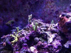 image 183a1f9f6882b1adbe930718c3bb6a956d7b5c239b19268afdf27723622c00cd V