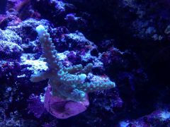 image 266b4204cb368f156edfcc19726fe657f37bc2415d53d37fea6d7b7dc124ea04 V