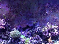 image 89f4a87dc8ec04388f1ccee8fc90b16a6e5092909796fd9afa949b9bad2618de V