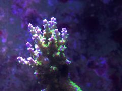 image 5ebb53e9b428d01d569be5906116cc21d3561f571e205d27fcb78f97299ef3ad V