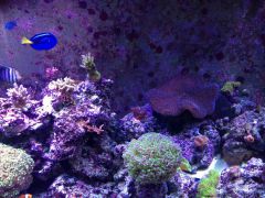 image 6b6cc8e1d3defe9f6ed4759cee6dcc702aabd9815aa16ee8fba20d9e535c2659 V