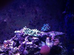 image 0d9cc45bcf5fe24639201c8c2b5f64d40af4aa518c5d1949c9aaeda96ede6a30 V