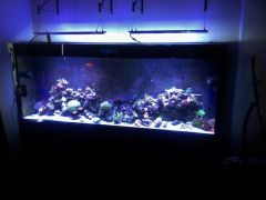 image 25b7082a0521c2d3d9b8ac36fb4dc0a0933fc7113b3ac1d6b63e2a8a01de5d1d V