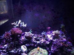 image 2759efe3af22962147cb60f3f8f3fbf89e676ab59346c5a35f5e7cf3f880525e V