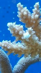 20150423 180840 resized