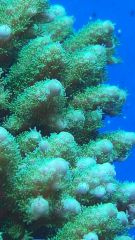 20150423 180921 resized