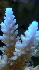 20150421 192148 resized