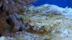 20150423 181309 resized