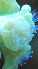 20150423 180656 resized