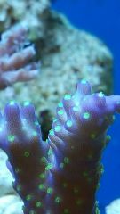 20150421 192428 resized