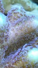 20150423 180906 resized