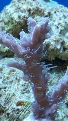 20150421 192050 resized