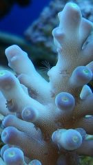 20150421 192204 resized