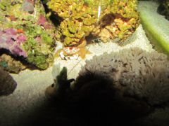 IMG 1249