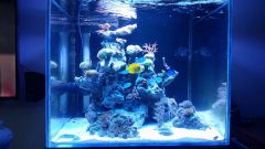 11830758 880716998648725 1599972727 N