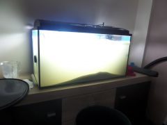 1-wszy dzień piasek