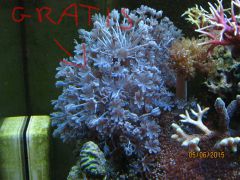 IMG 20150605 133607 268