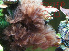 IMG 20150605 133141 226