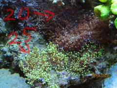 IMG 20150605 133007 580