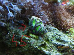 IMG 20150605 133322 257