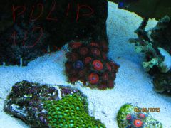 IMG 20150605 133519 208