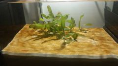 12305565 925066480880443 1836004341 N