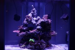 DSC 6564 Raw (Large)